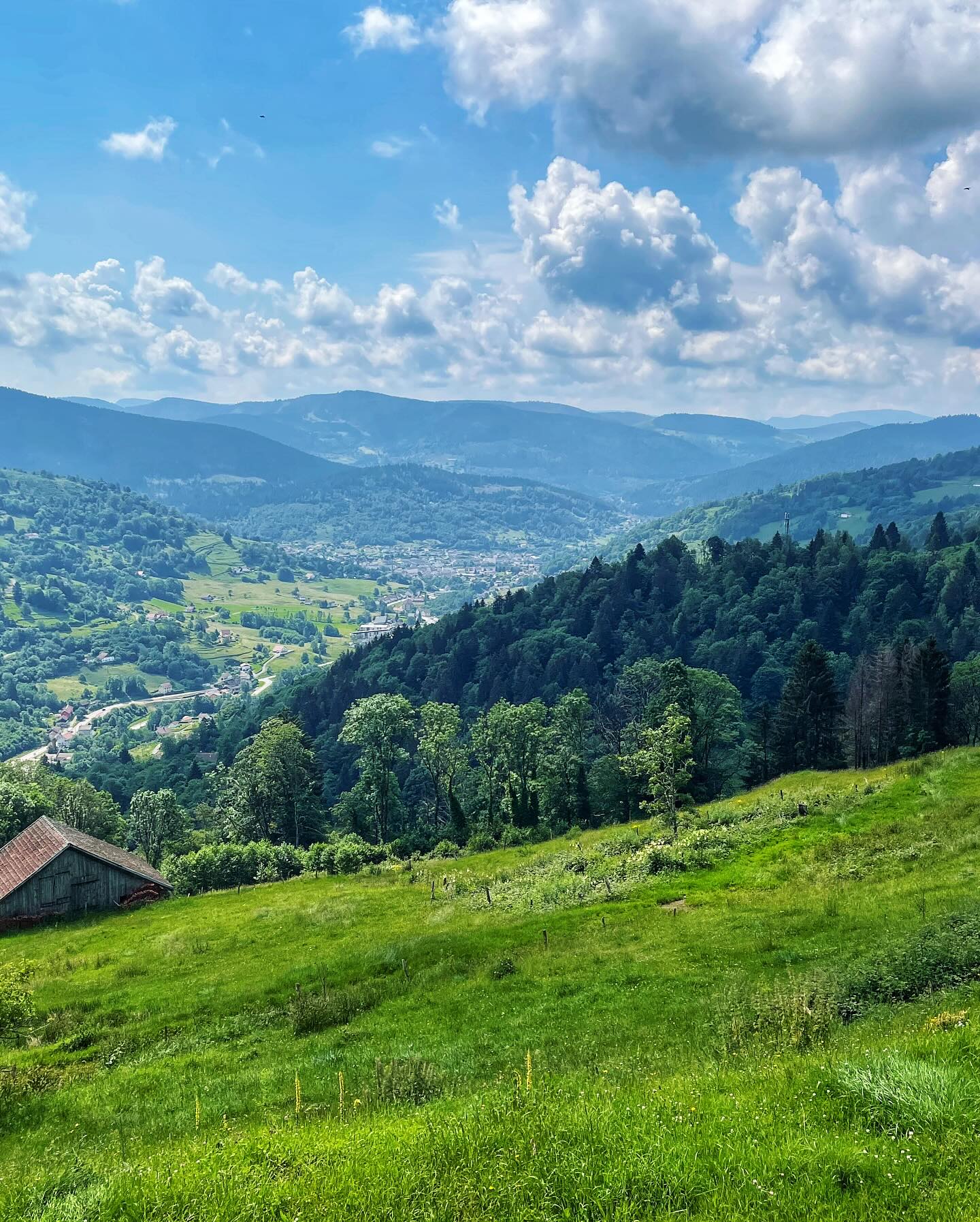 Vallée verdoyante entre collines couvertes de forêts, prairie au premier plan sous un ciel bleu nuageux