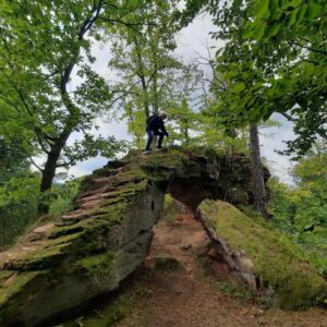 Parc naturel des vosges du nord