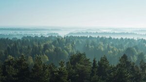 Ce sommet des Vosges surplombe majestueusement le paysage, dévoilant des panoramas à couper le souffle