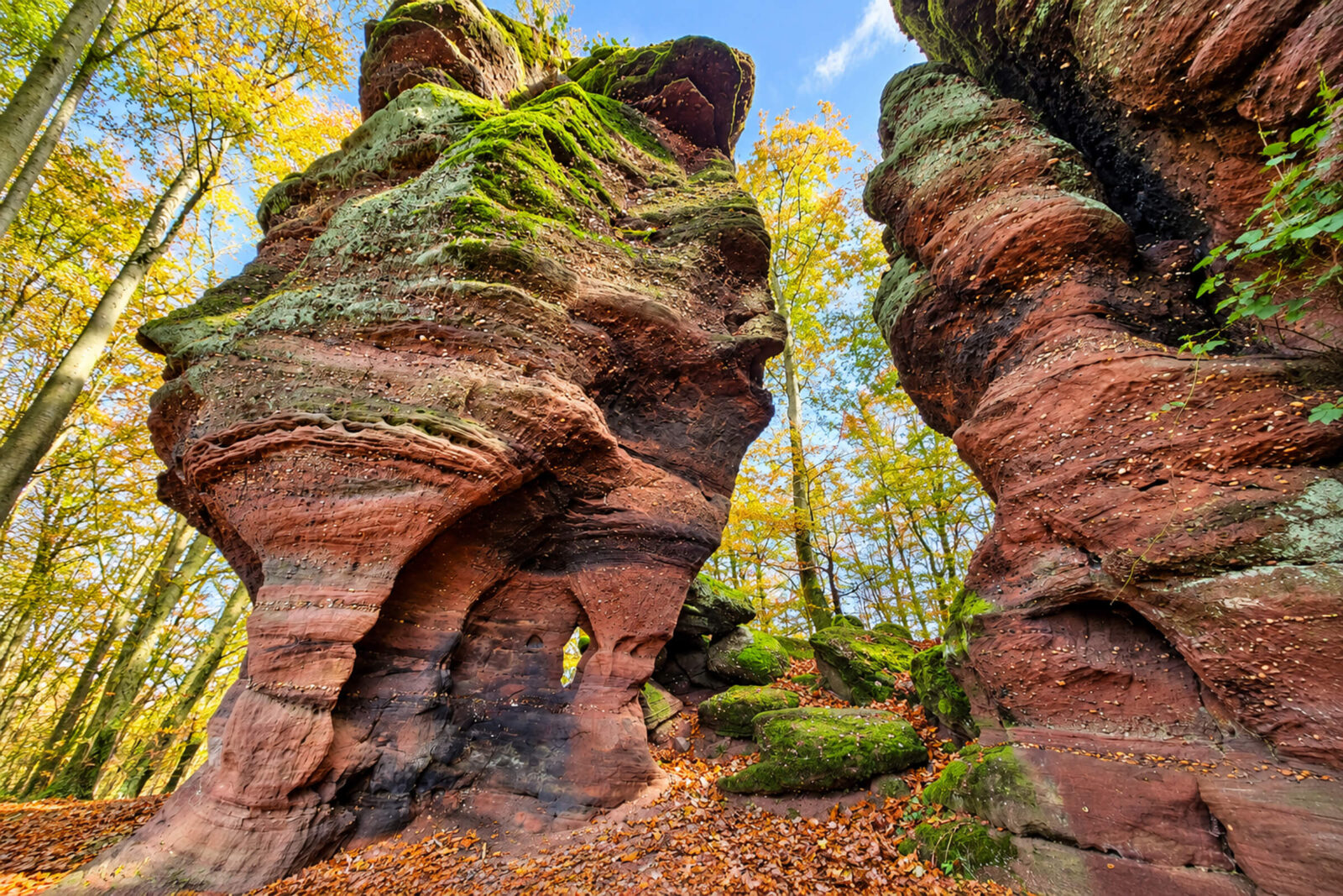 Rochers de grès rouge sculptés par l’érosion et couverts de mousse dans la forêt, près de La Petite-Pierre